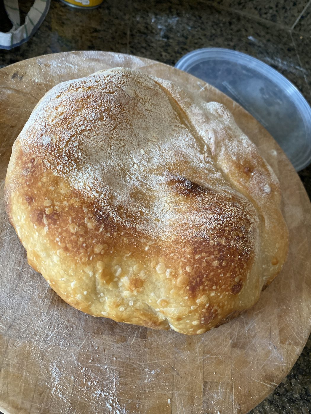 Blistered top from an overnight in the fridge — the loaf that came out